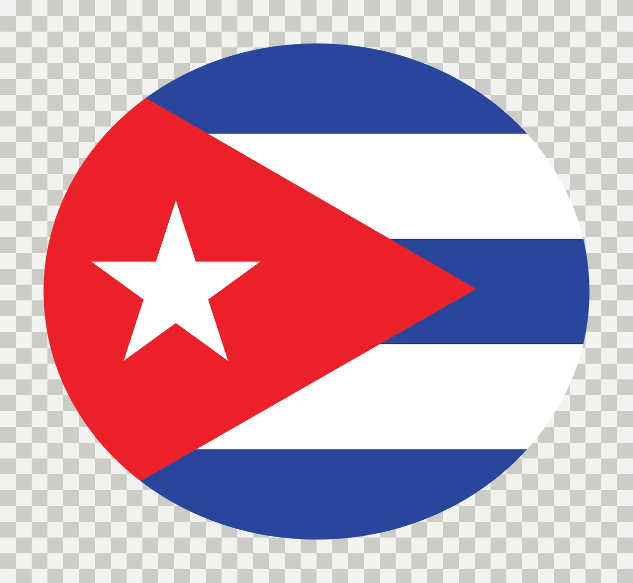 Circular Flag With Star Shape circle triangle lines black white transparency and detail preview thumbnail