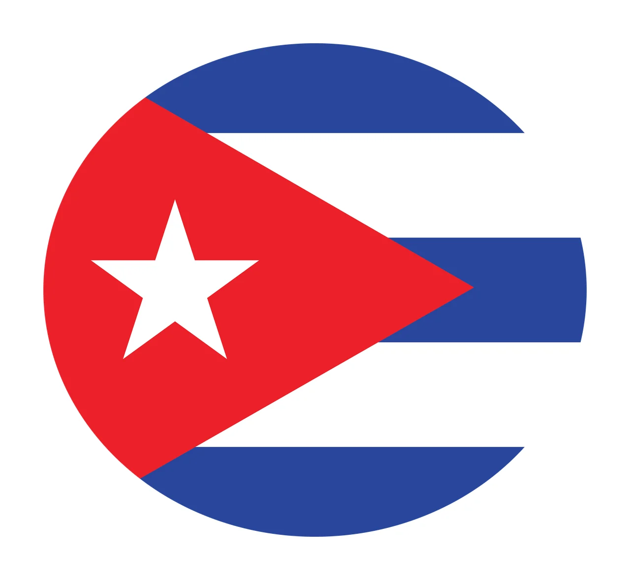 Circular Flag With Star Shape circle triangle lines black white