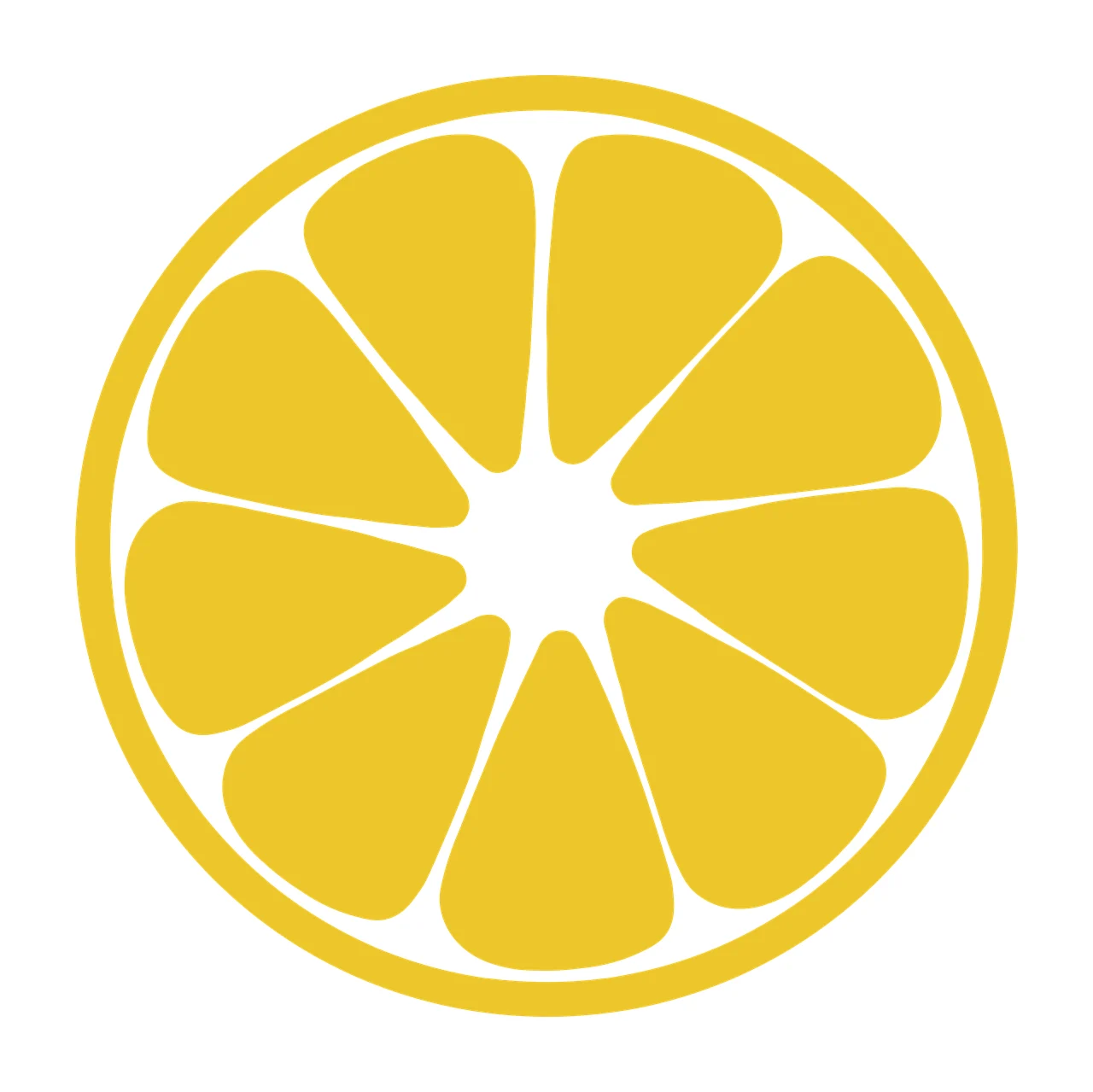Citrus slice Illustration with yellow citrus slice, fruit pulp segments, outer rind and inner pith gaps in white
