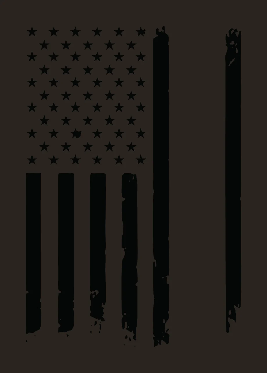 Flag Vertical Graphic With Stars And Two Long stripes lines contrast preview thumbnail