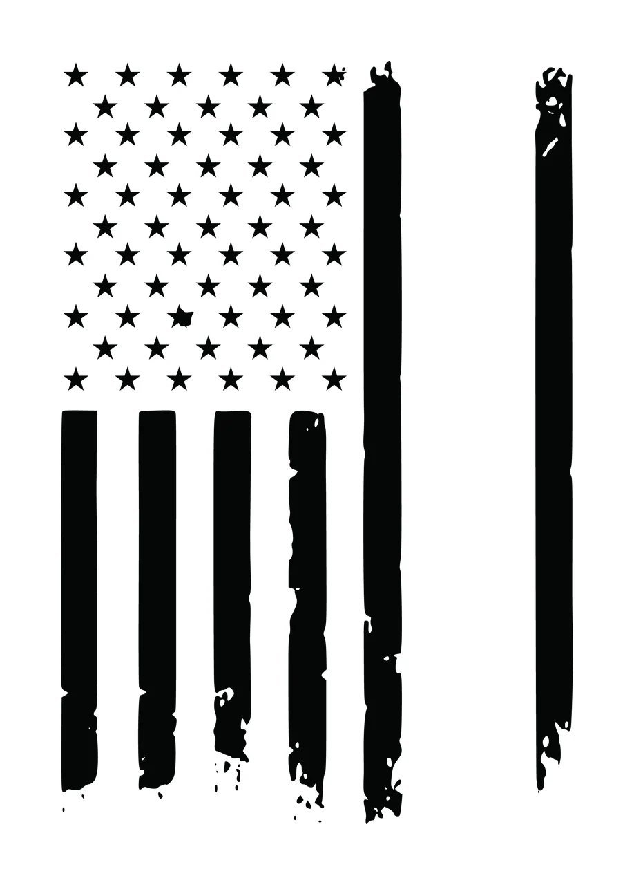 Flag Vertical Graphic With Stars And Two Long stripes lines