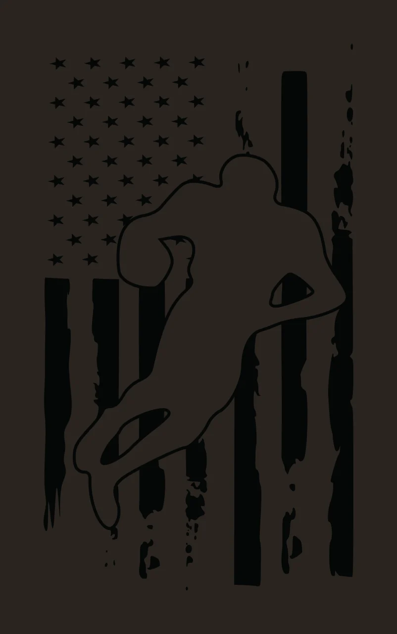 Flag Graphic With Silhouette Of Player and leaping stars stripes contrast preview thumbnail