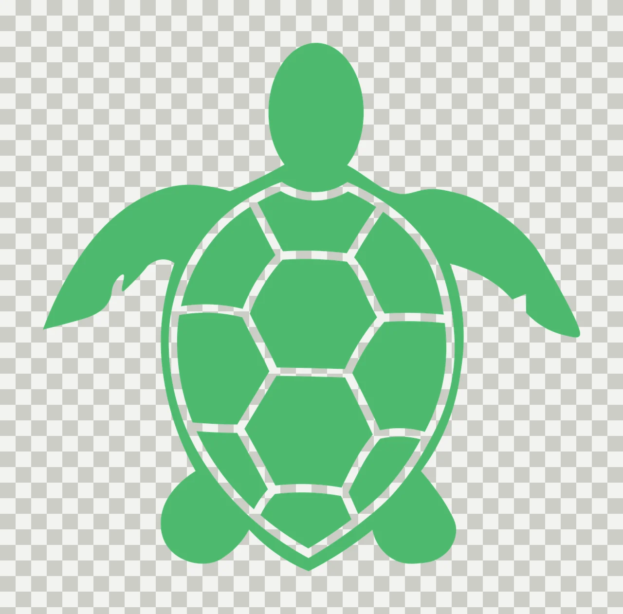 Sea turtle Illustration with turtle carapace, flippers, geometric scute lines and head in green and white transparency and detail preview thumbnail
