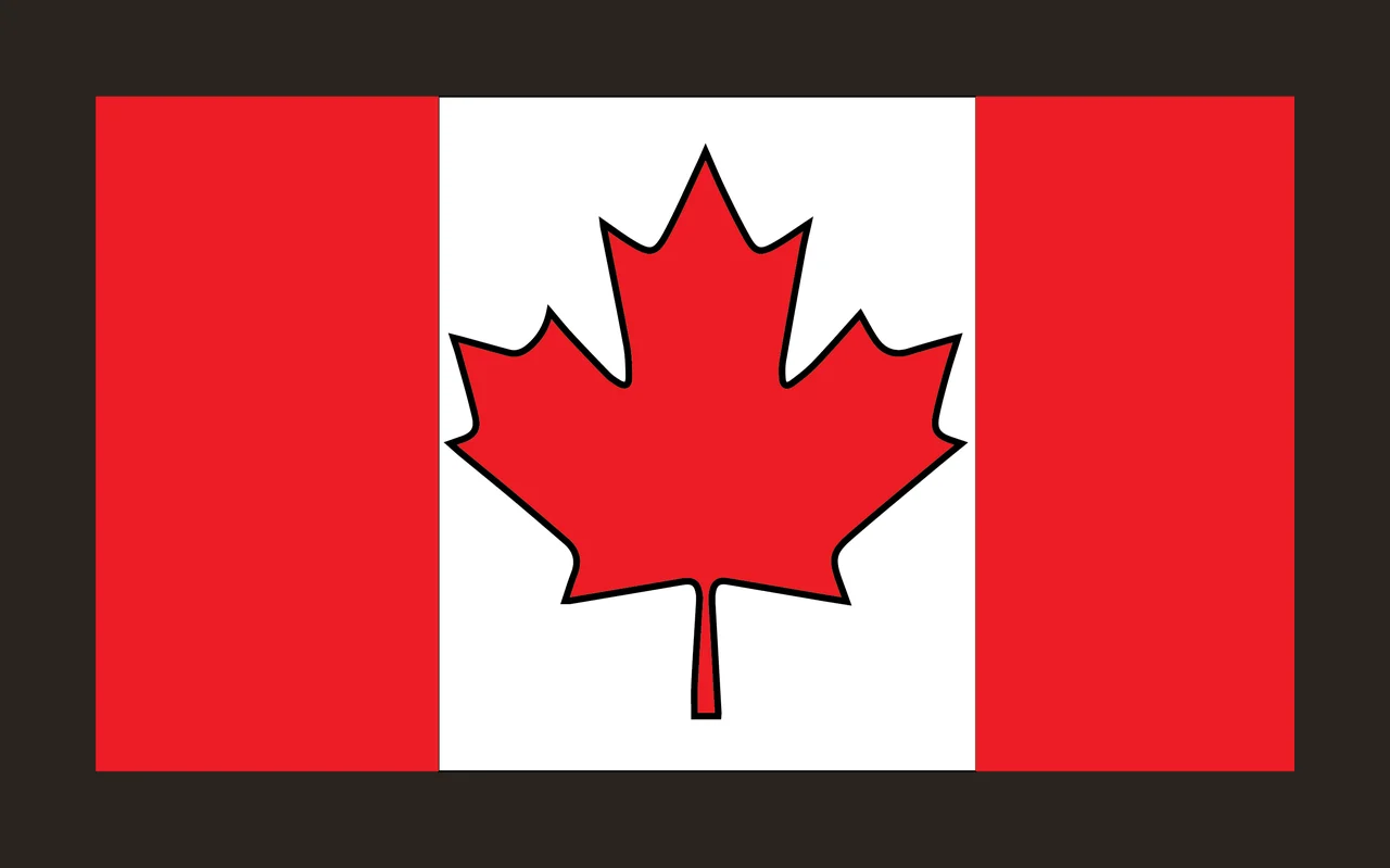 Rectangular Flag With Maple Leaf Center simple icon black symbol contrast preview thumbnail