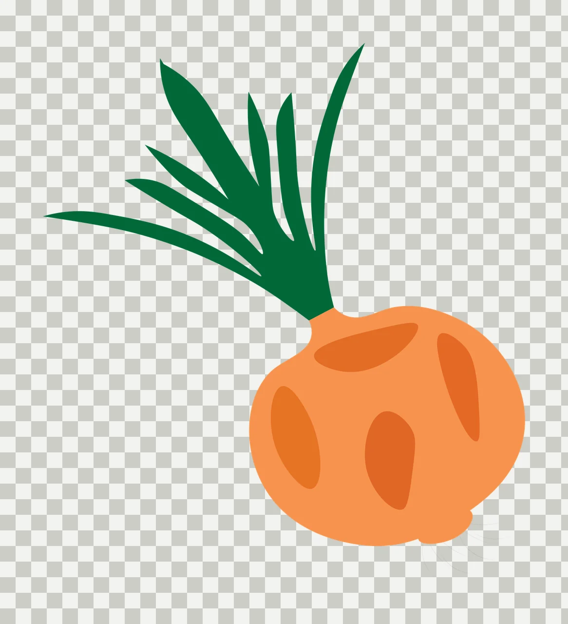 Onion bulb Illustration with orange bulb, dark green leaves, white roots and shading spots transparency and detail preview thumbnail