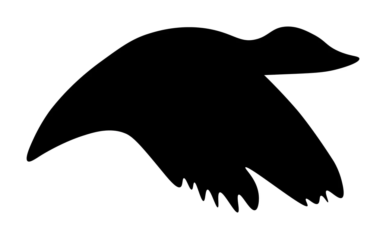 Can Glass Wrap Bird Soaring With Silhouette