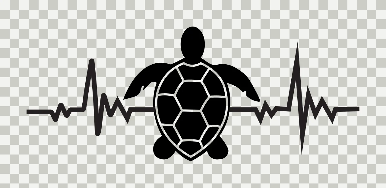 Silhouette Design of sea turtle with heartbeat line, EKG pulse, turtle shell pattern and flippers in black and white transparency and detail preview thumbnail