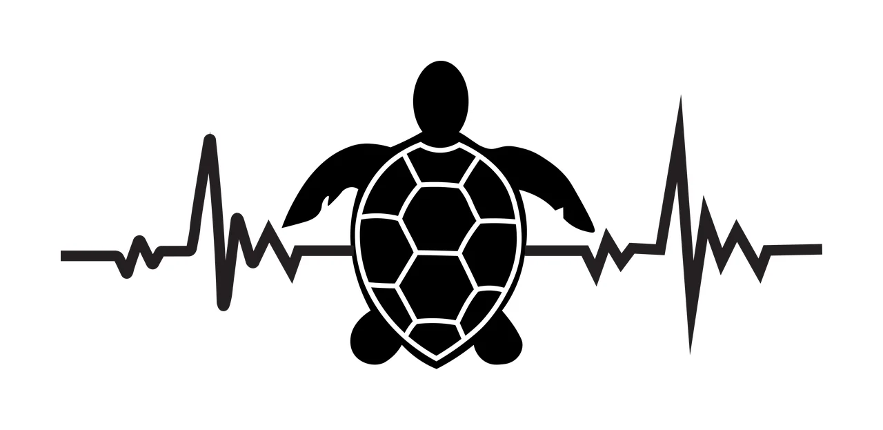 Silhouette Design of sea turtle with heartbeat line, EKG pulse, turtle shell pattern and flippers in black and white